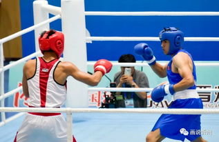 忻州圓滿(mǎn)承辦青運(yùn)會(huì)拳擊賽事 展現(xiàn)拳擊運(yùn)動(dòng)組織新風(fēng)貌