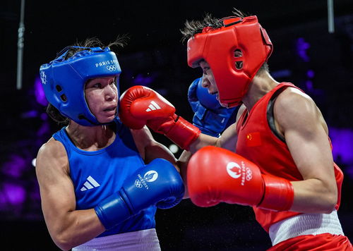 巴黎奧運會 楊文璐晉級拳擊女子60公斤級四分之一決賽，展現賽事組織與競技風采